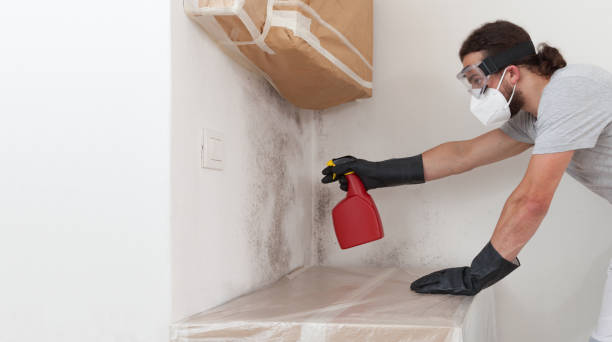 Professional Mold Remediation technician working in Benzonia, MI